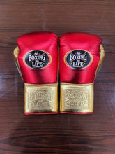 No Boxing No Life Boxing Sparring Set Gloves Red/Gold (8oz–20oz)