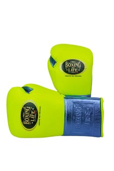 No Boxing No Life training and sparring gloves neon green blue 8 oz to 20 oz