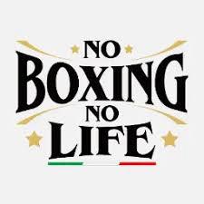 No Boxing No Life Black Lace-Up Boxing Gloves – Professional Training & Sparring Gloves (8oz–16oz) My Store