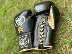 No Boxing No Life Black & Gold Boxing Gloves with Headgear | Professional Training & Sparring Set