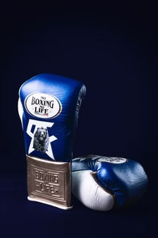 No Boxing No Life training and sparring gloves blue gold