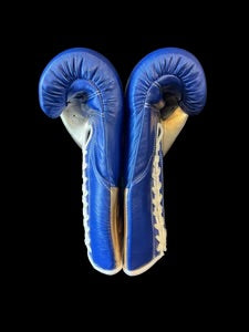 No Boxing No Life training and sparring gloves blue gold