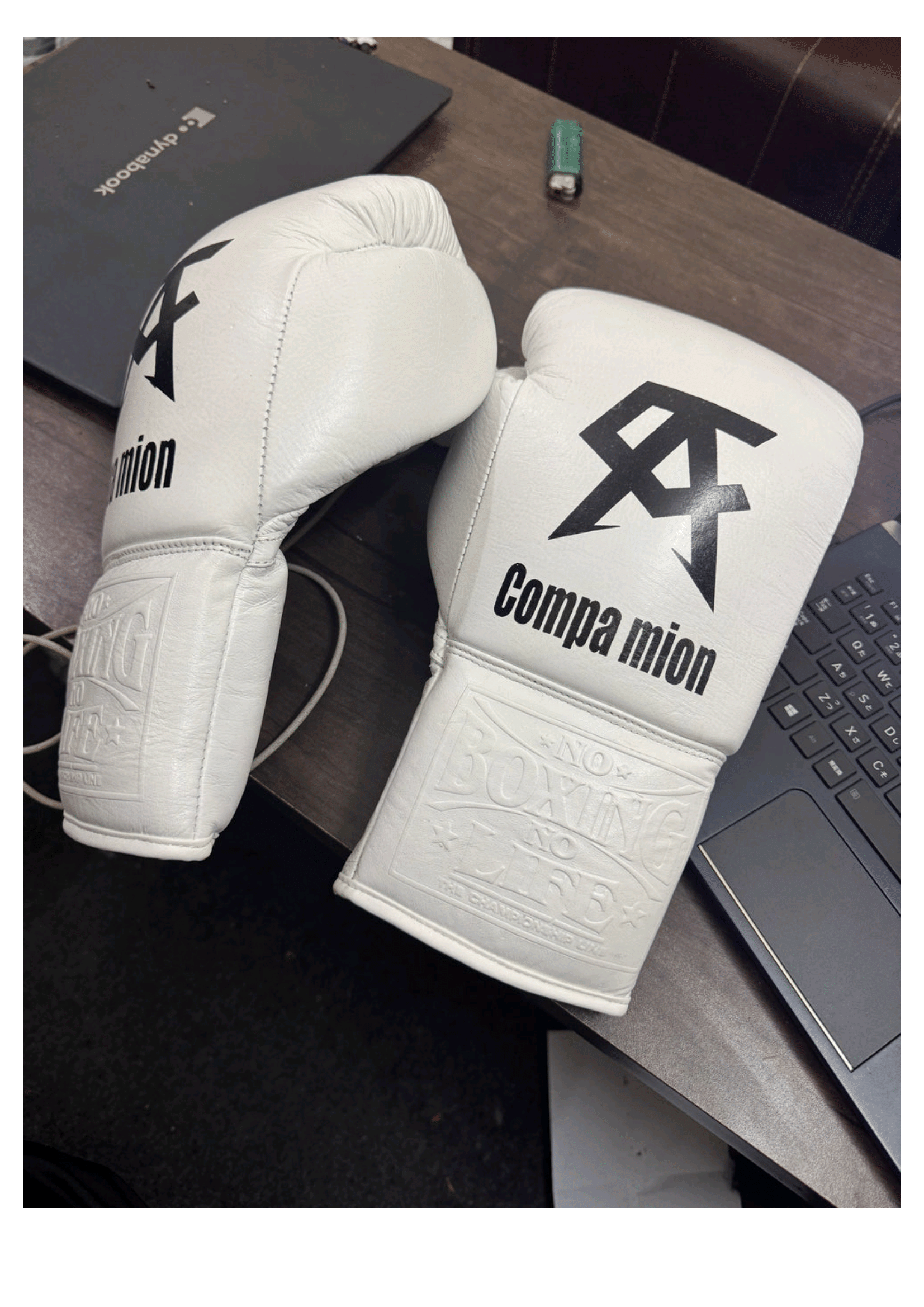 White Compa Mion Boxing Gloves - Premium Leather