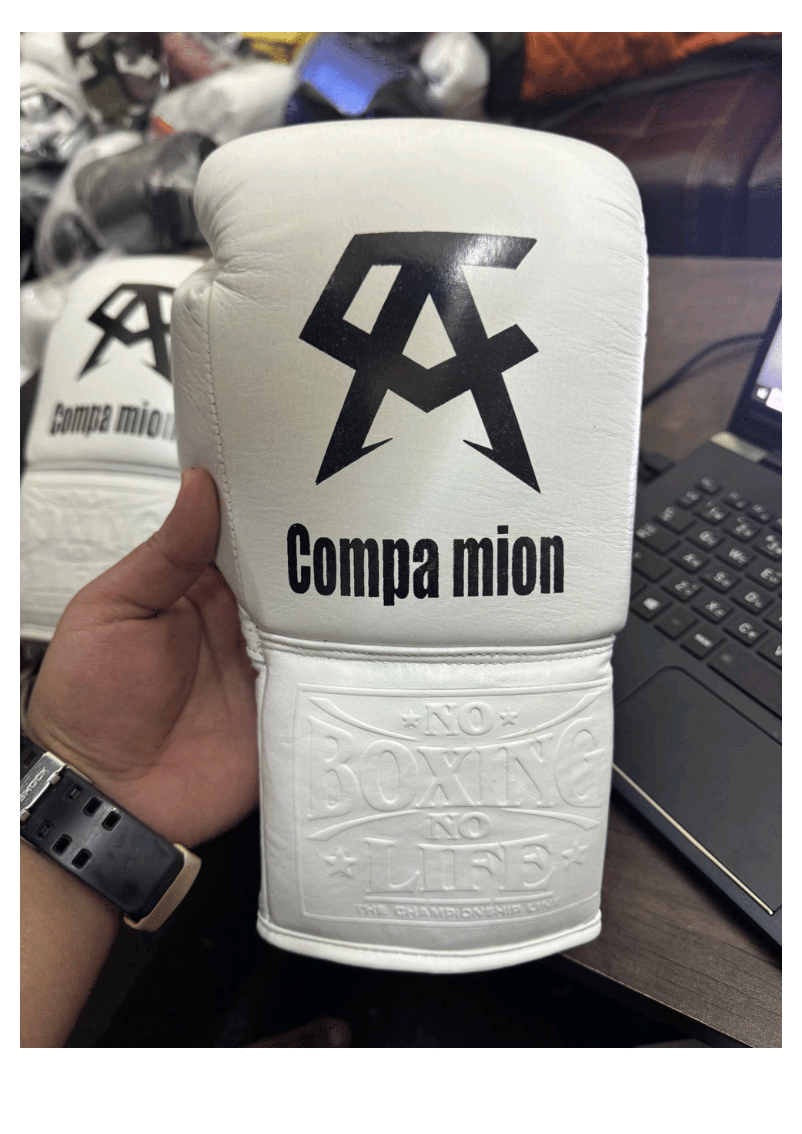 White Compa Mion Boxing Gloves - Premium Leather