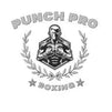 PunchPro Boxing
