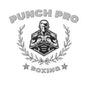 PunchPro Boxing